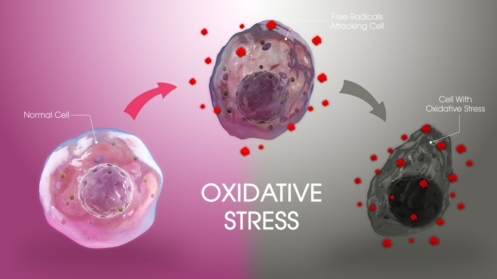 Oxidative-Stress.jpg